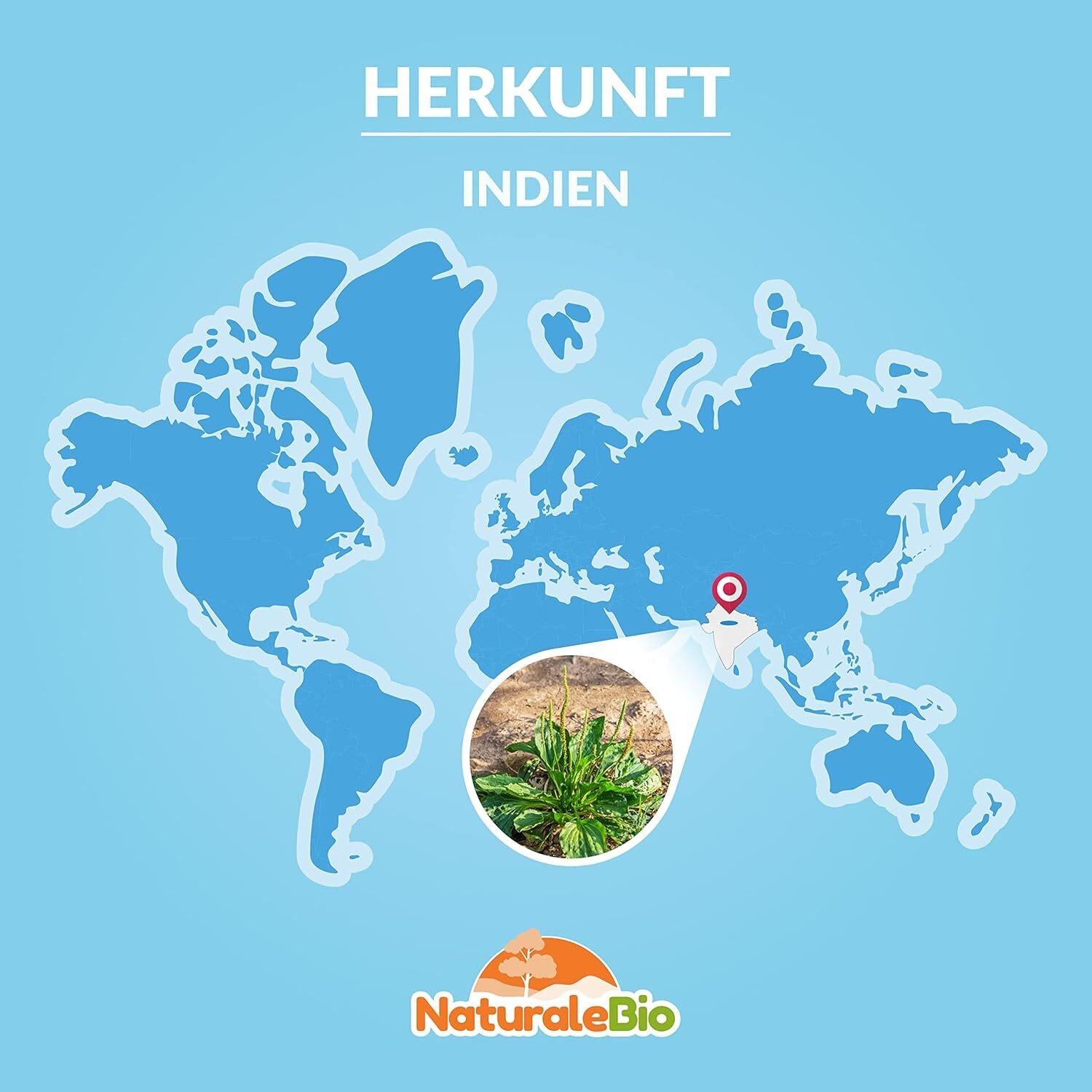 0570ae863b258dcb3bf7ca521a24ad83.jpg 200 g Naturalebio Bio Flohsamenschalen – 99 % Reinheit, vegan, naturbelassen, ballaststoffreich