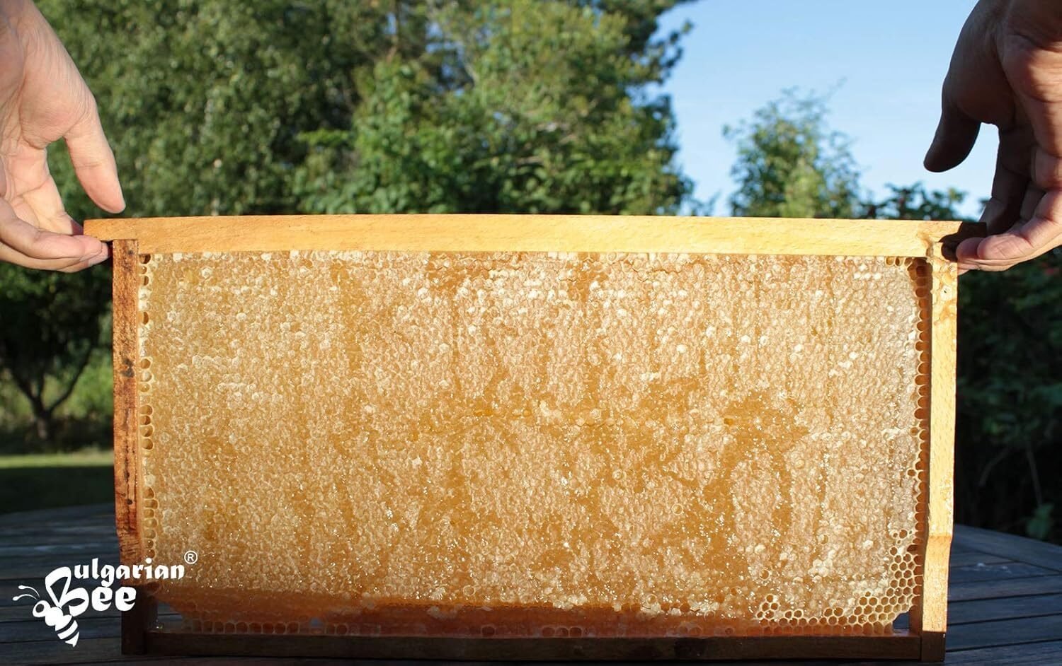 1682a0d4d1fccd95559d0c243af3e0d6-1.jpg 1 kg Bulgarian Bee Bio Akazienblütenhonig – naturbelassen & mild