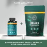 Primal Harvest Omega 3 Fischöl 60 Kapseln – Ultimativer Komplex mit 470 mg EPA & DHA – Nachhaltig & Hochdosiert