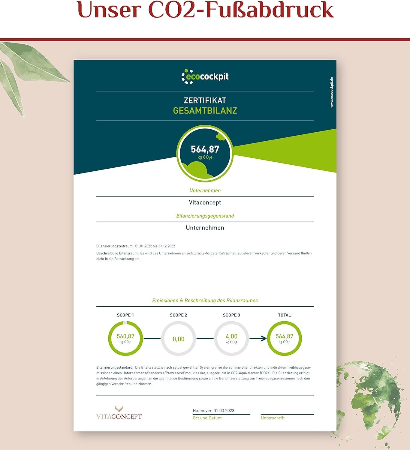 120 Kapseln Vitaconcept Roter Panax Ginseng Extrakt – 600 mg, 20 % Ginsenoside, vegan, laborgeprüft