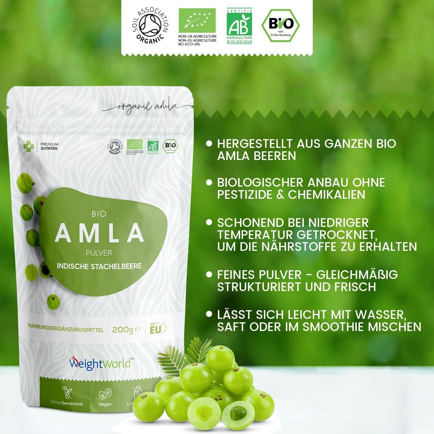 200 g WeightWorld Bio Amla Pulver – Reines Amalaki Superfood | Naturrein & Bio-zertifiziert