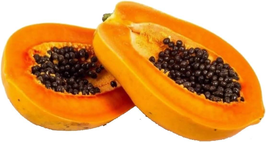 51ADOVIjNsL._AC_SL1280_ Getrocknete Papayakerne 25 g – Naturbelassen & reich an Papain