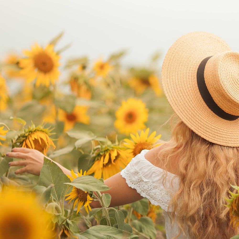 1 kg vom Achterhof Sonnenblumenkerne geschält – Aromatisch, naturbelassen & vielseitig verwendbar