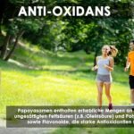 Getrocknete Papayakerne 25 g – Naturbelassen & reich an Papain
