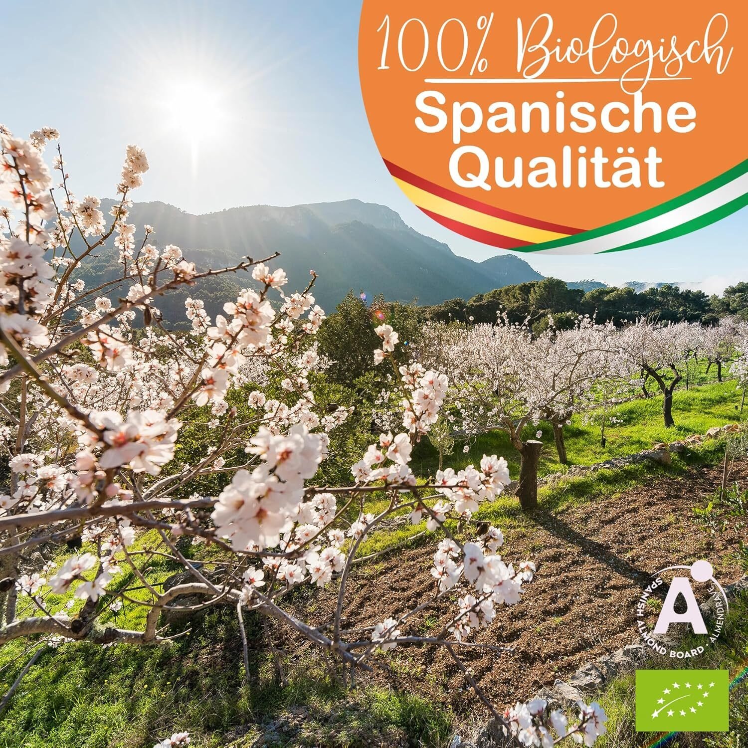 02f4af3582272f25ddacb75f2c62aa8c-1.jpg 500ml Bio Mandelöl kaltgepresst naturrein – Pflegeöl für Gesicht, Körper, Haare und Nägel