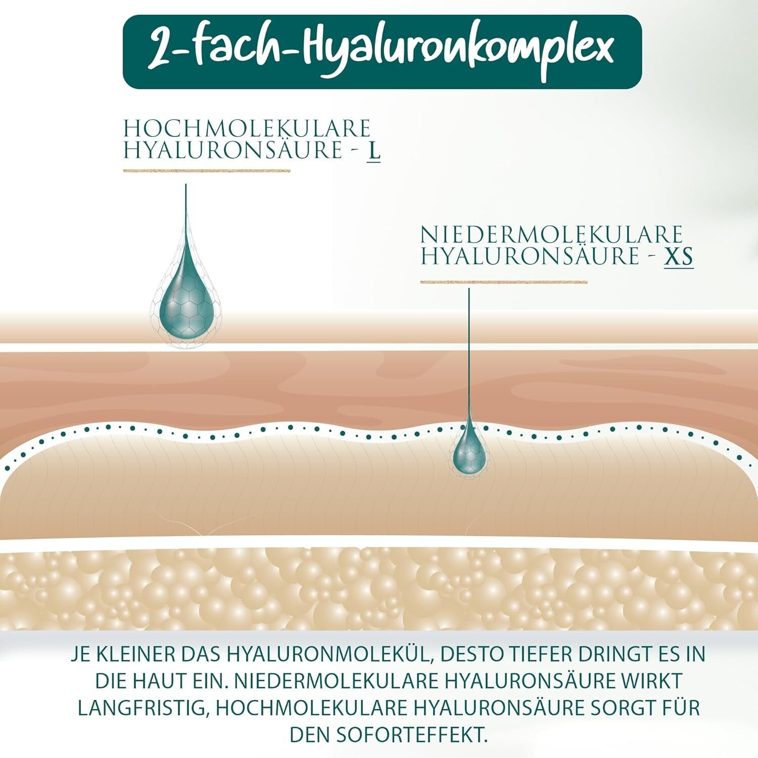 100ml Bio Hyaluron Creme Gesicht – Anti-Falten, Q10, hochdosiert & feuchtigkeitsspendend