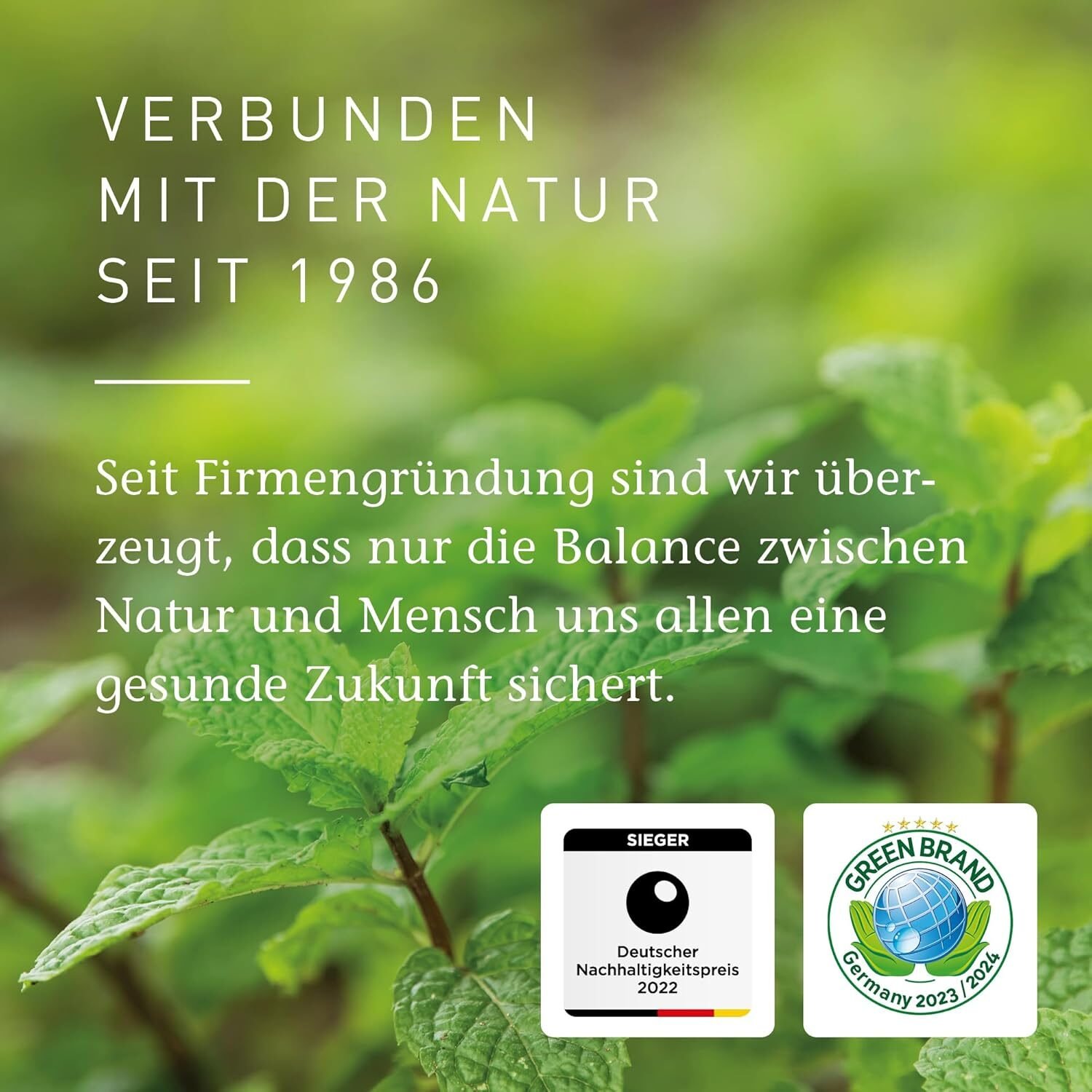 45ml Deocreme ohne Aluminium – Zitrusduft, vegan, 24h Schutz | PRIMAVERA