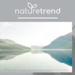 1,3 kg zeolith pulver naturrein 94% – Premium Qualität, extra fein gemahlen