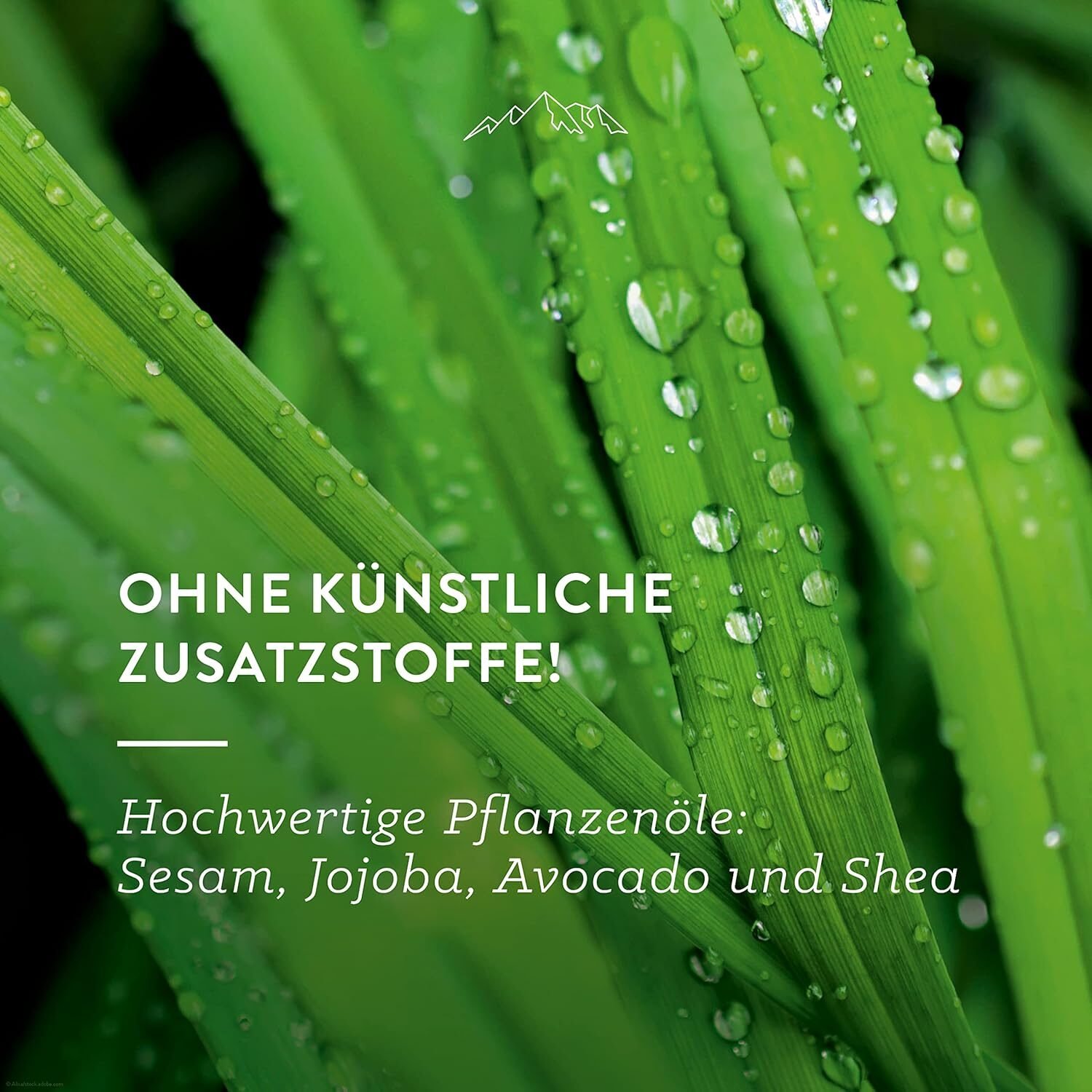 53b2780288eea1c4b7ad5841e89c4515.jpg 100ml Bio Massageöl mit ätherischen Ölen & Zitrusduft – Allgäuquelle