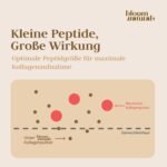 1500g Kollagen Pulver Hydrolysat – Hochdosiert, Peptide Typ 1 & 3 – Geschmacksneutral – XXL Vorrat – Made in Germany