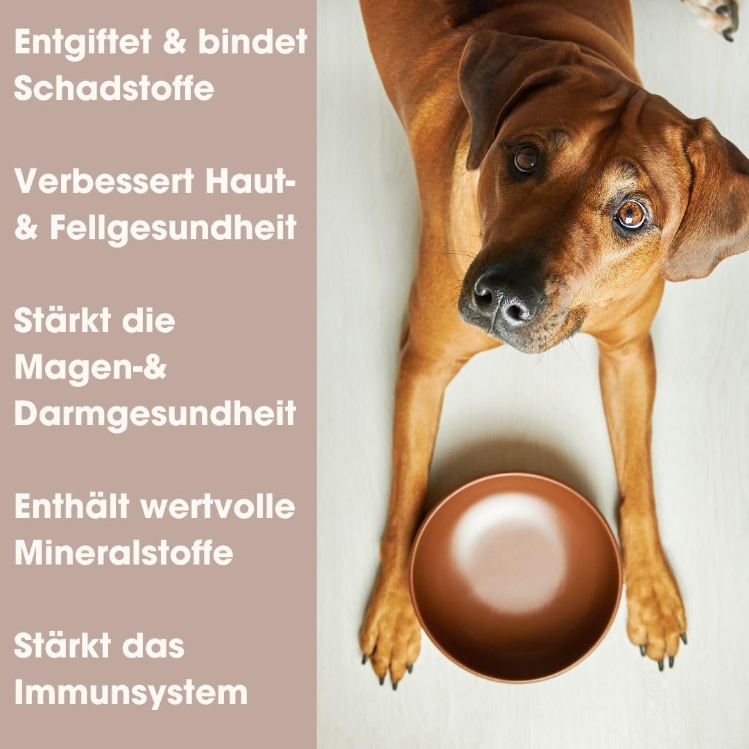 1000 g zeolith pulver mit 95% klinoptilolith – Premium Qualität für Haustiere