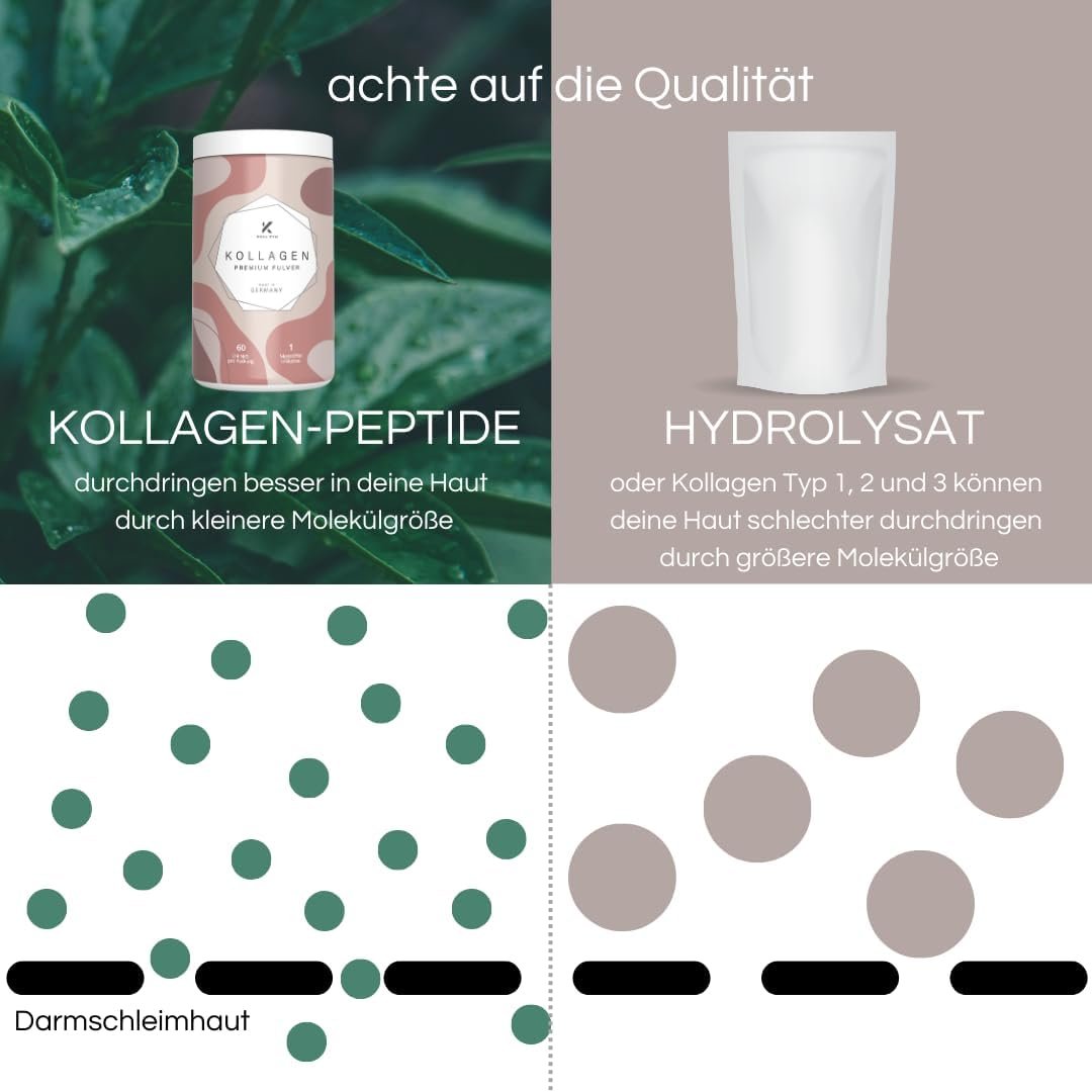 300g kollagen pulver hochdosiert – Bioaktives Kollagen Peptide – KOLL`ZYM©