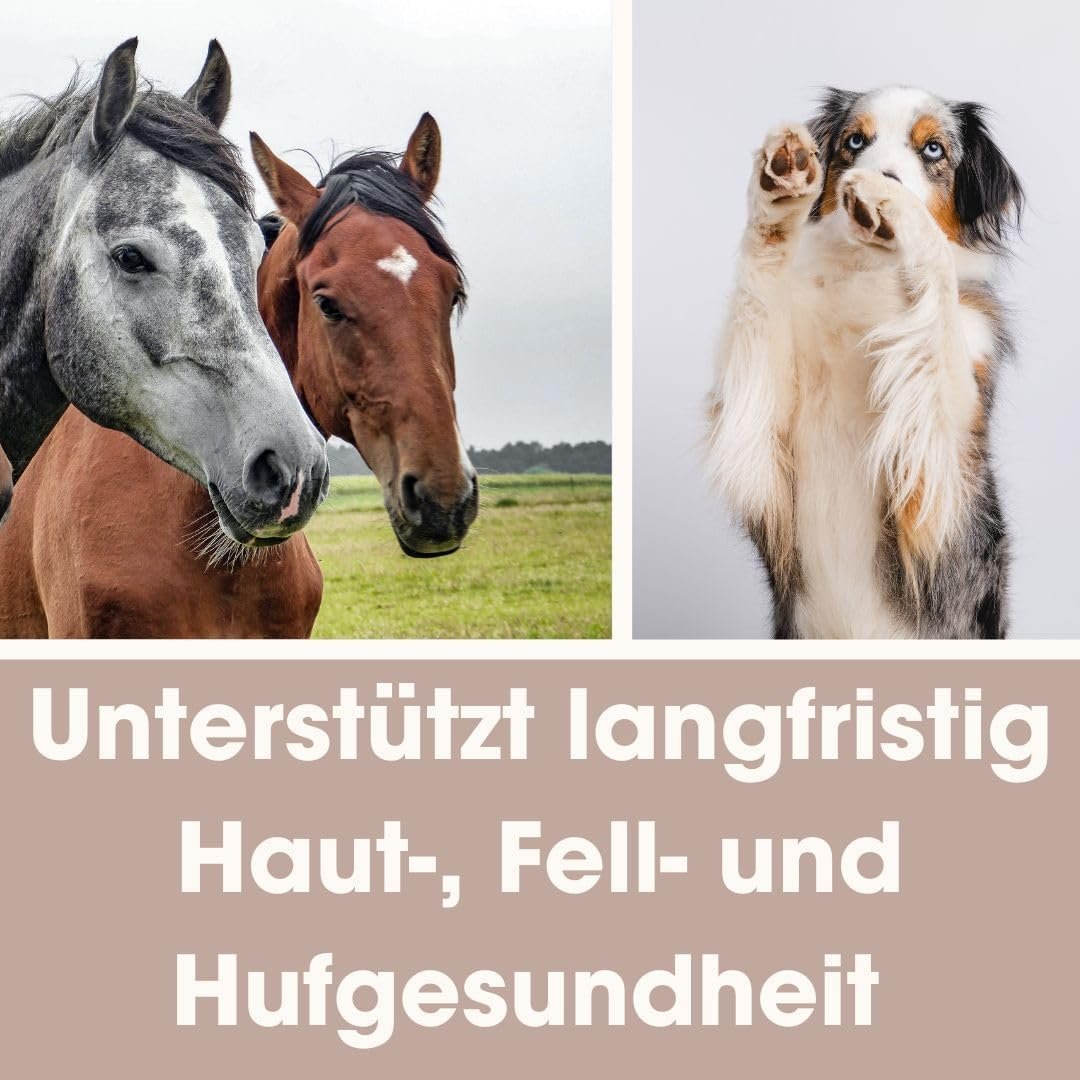 1000 g zeolith pulver mit 95% klinoptilolith – Premium Qualität für Haustiere