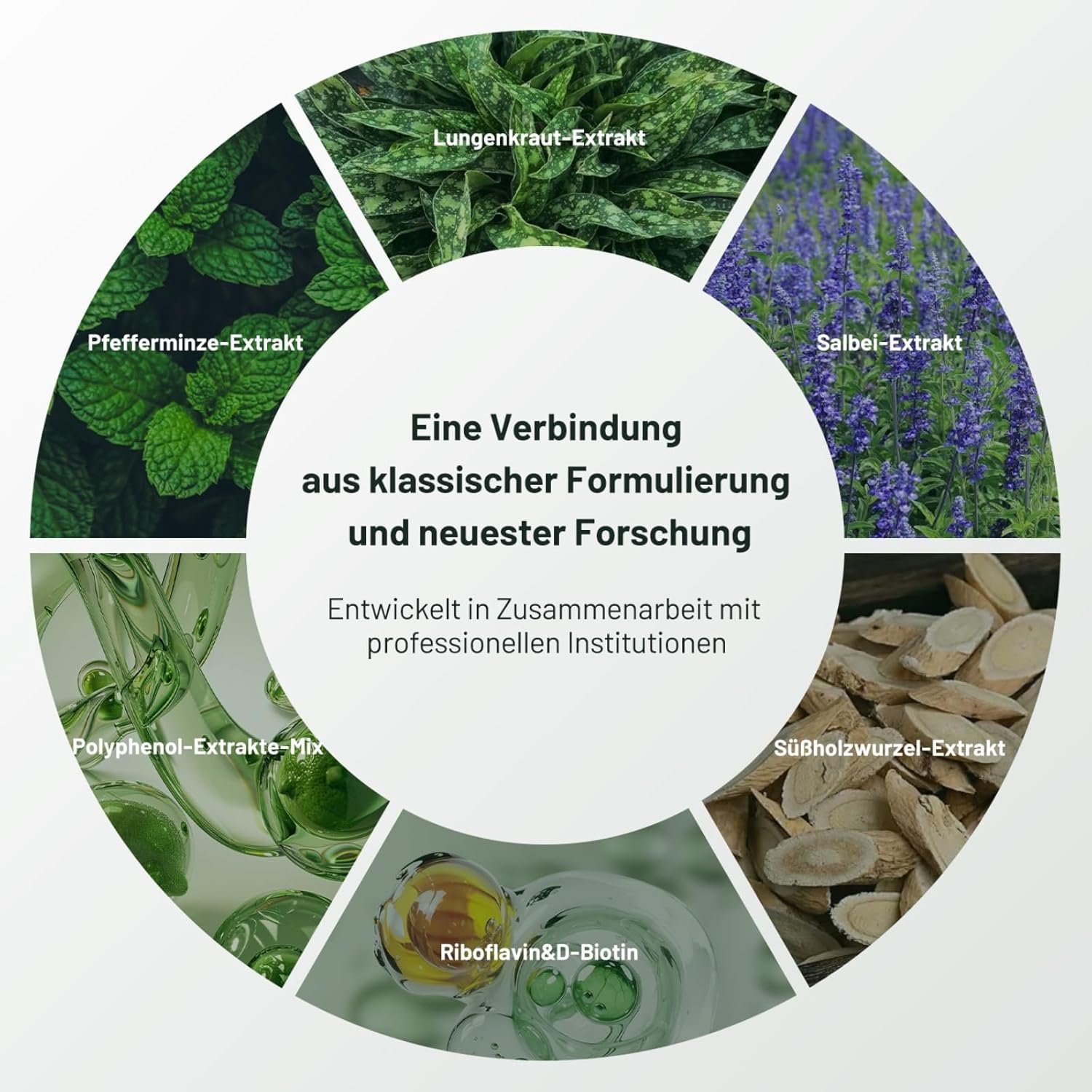 120 lungenkraut kapseln – Atem Komplex mit 400 mg pro Tagesdosis – Vegan, Ohne Zusätze