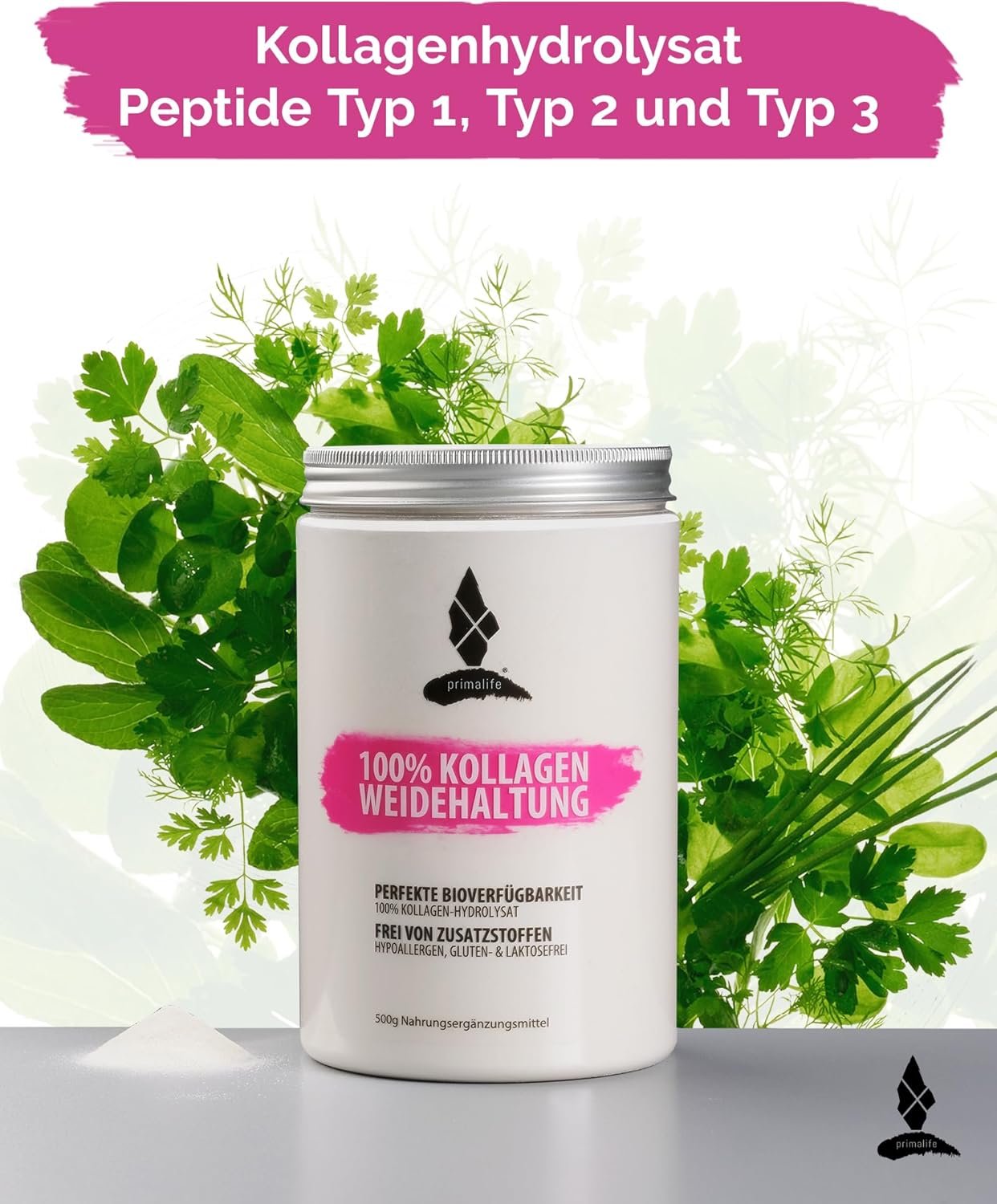 71NLha6DvkL._AC_SL1500_ 500g Kollagen Pulver Weidehaltung – Reines Kollagen mit Peptiden Typ 1, 2 & 3 – PRIMALIFE