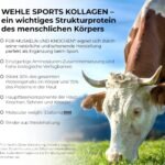 1kg collagen pulver vanille – Bioaktives Kollagen Hydrolysat Peptide – Wehle Sports