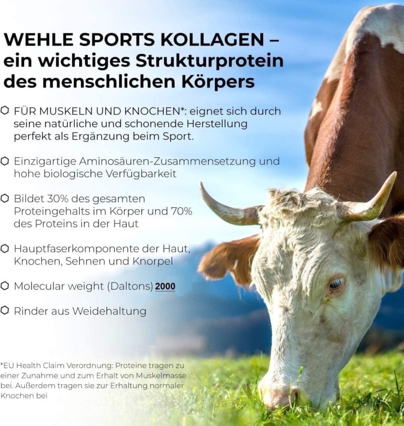 1kg collagen pulver vanille – Bioaktives Kollagen Hydrolysat Peptide – Wehle Sports