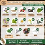 120 lungenkraft kapseln – Laborgeprüfter Komplex mit Lungenkraut & mehr – SCHEUNENGUT®