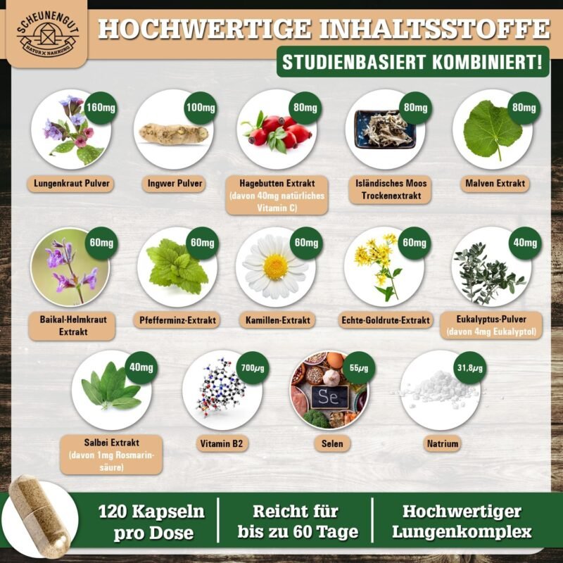 120 lungenkraft kapseln – Laborgeprüfter Komplex mit Lungenkraut & mehr – SCHEUNENGUT®