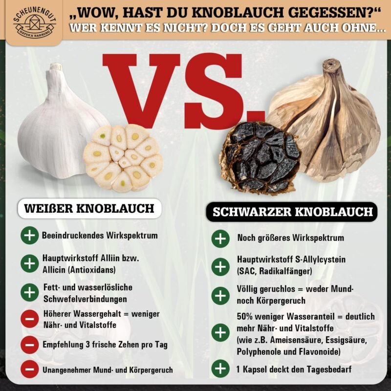 180 schwarzer knoblauch kapseln – 1500 mg Tagesdosis – 25:1 Extrakt & 15% Polyphenole – Laborgeprüft