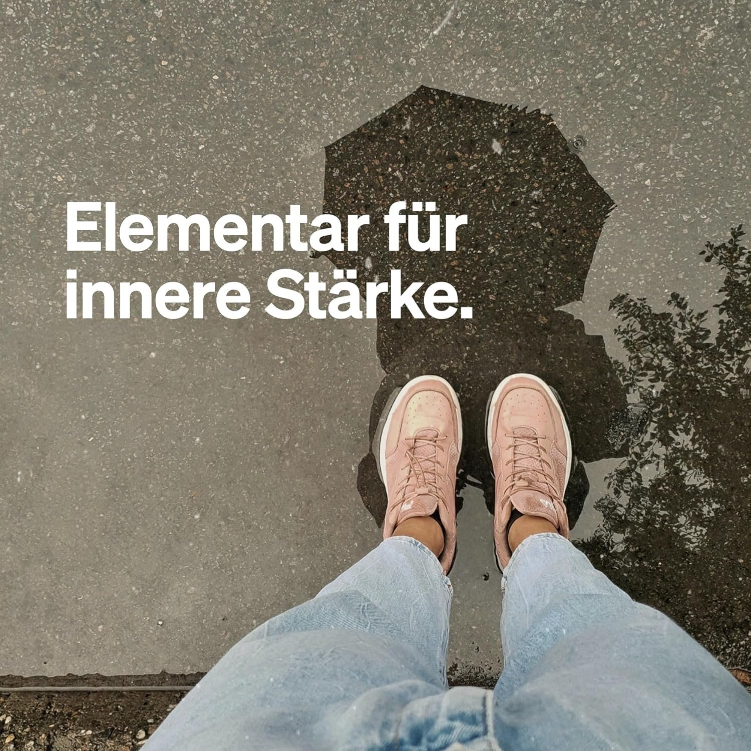 45 schwarzer knoblauch kapseln – 600 mg S-Allylcystein – Vegan & laborgeprüft