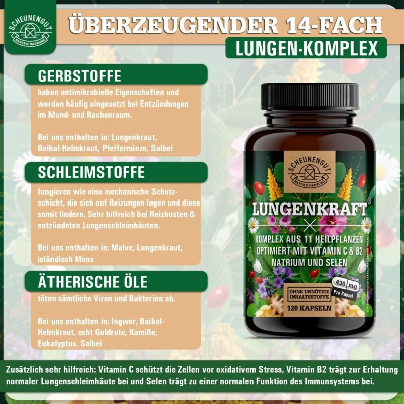 120 lungenkraft kapseln – Laborgeprüfter Komplex mit Lungenkraut & mehr – SCHEUNENGUT®