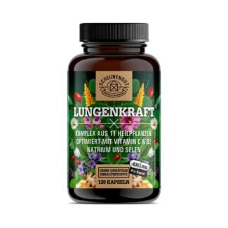 120 lungenkraft kapseln mit Lungenkraut, Ingwer, Hagebutte und Selen