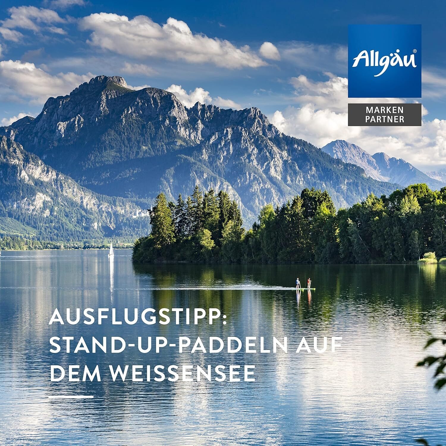 ee56637f522632e10f572ae128697f34.jpg 100ml Bio Massageöl mit ätherischen Ölen & Zitrusduft – Allgäuquelle