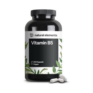 240 Kapseln Vitamin B5 Kapseln 500 mg hochdosiert vegan natural elements