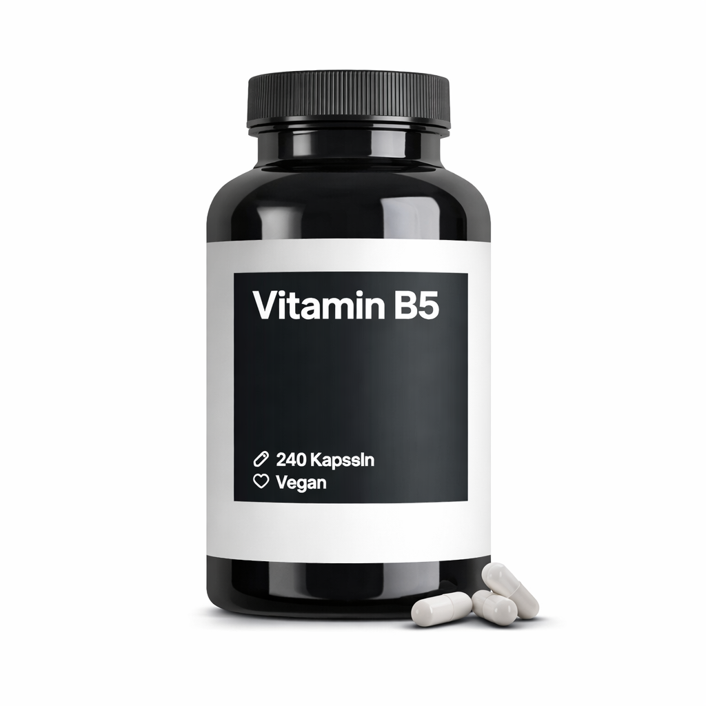 240 Kapseln Vitamin B5 Kapseln 500 mg hochdosiert vegan