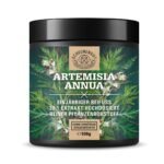 100g artemisia annua pulver 30:1 extrakt hochdosiert vegan