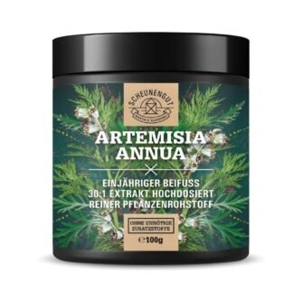100g artemisia annua pulver 30:1 extrakt hochdosiert vegan