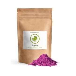 100g acerola pulver rohkostqualität vegan rein