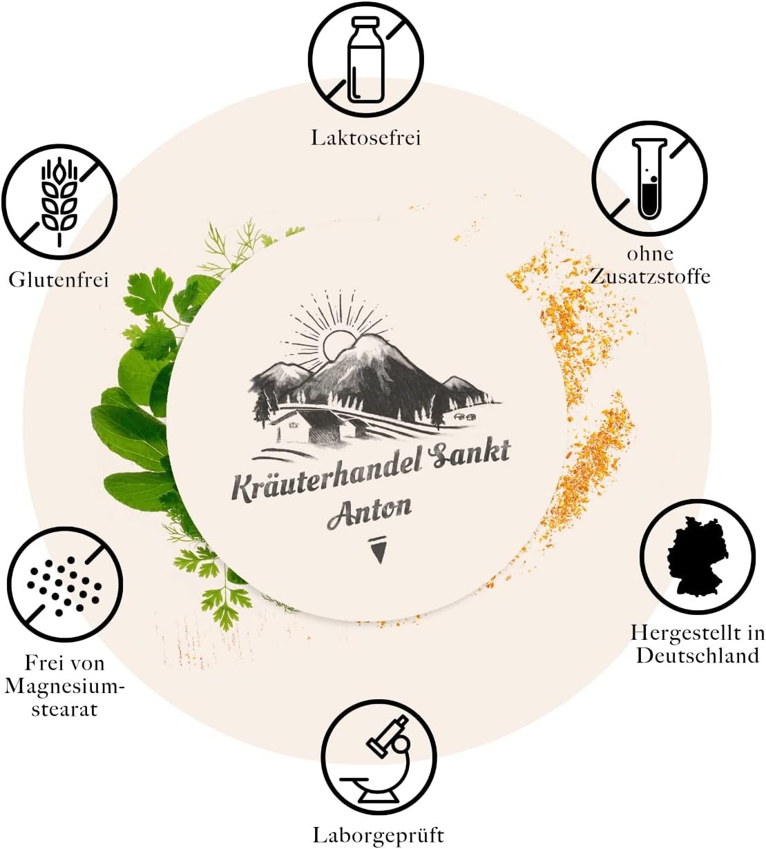 120 löwenzahnwurzel kapseln – 500 mg Extrakt (10:1) – Ohne Zusätze – Deutsche Premium Qualität