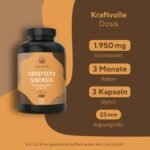 270 Stück Cordyceps kapseln hochdosiert 1950mg vegan | TRUE NATURE