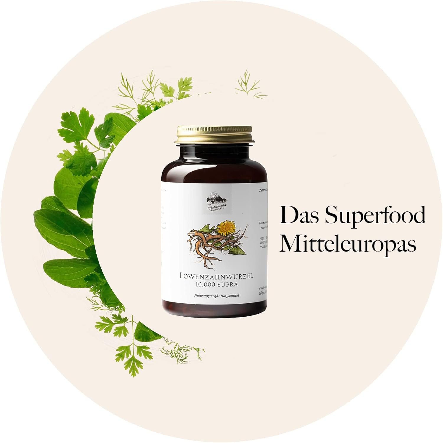 120 löwenzahnwurzel kapseln – 500 mg Extrakt (10:1) – Ohne Zusätze – Deutsche Premium Qualität