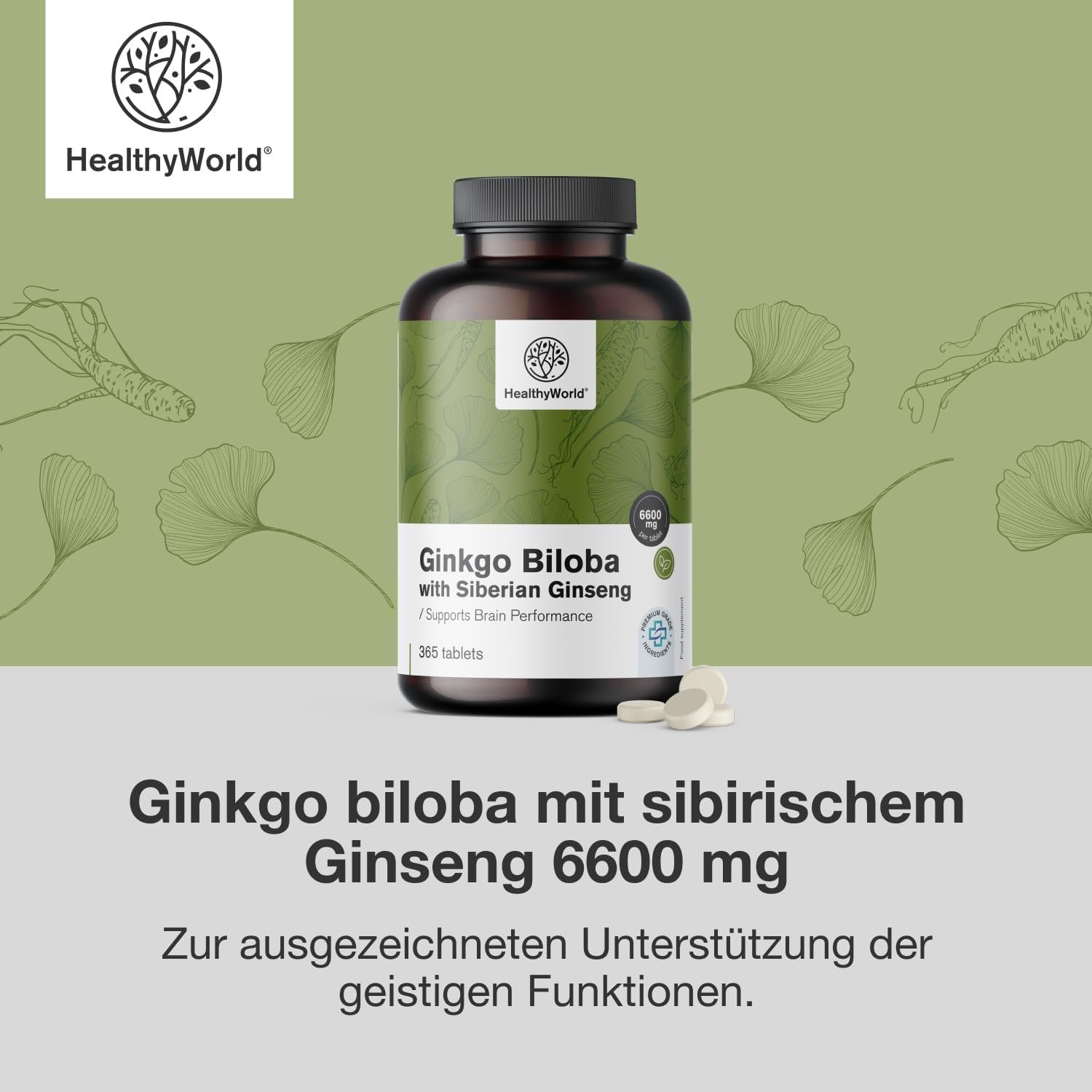 61AbSHpwwoL._AC_SL1500_ 365 Tabletten Ginkgo Biloba hochdosiert mit sibirischem Ginseng | HealthyWorld