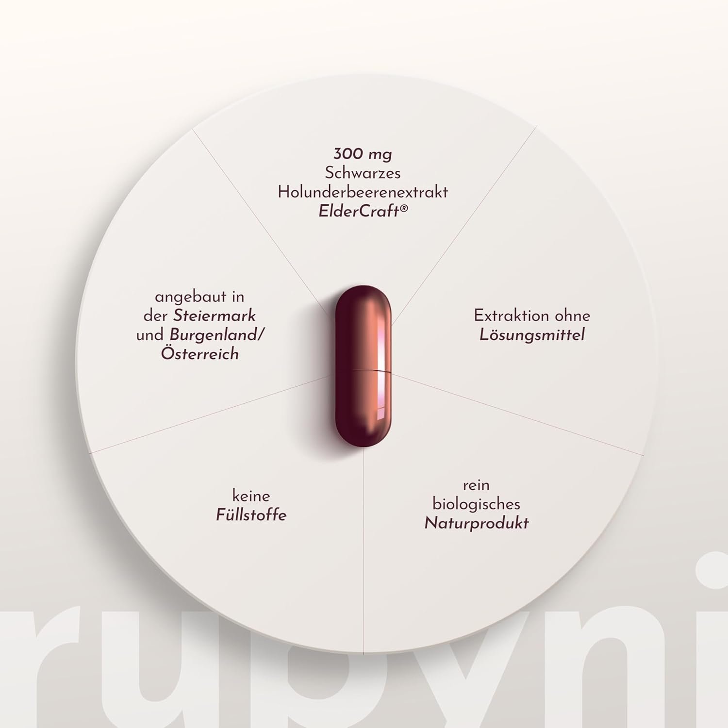 90 Holunder kapseln bio hochdosiert immunbooster vegan | Rubyni