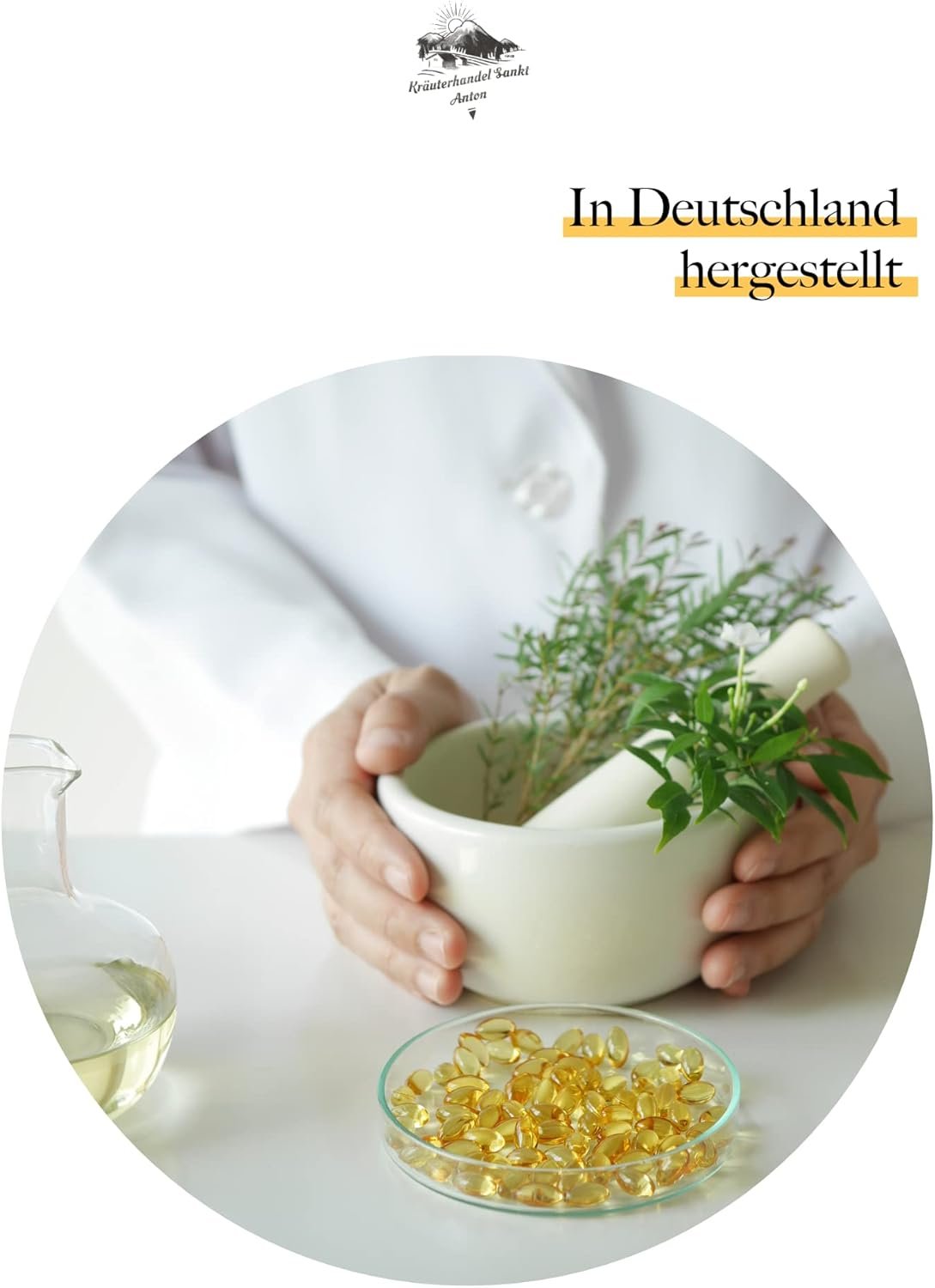 120 löwenzahnwurzel kapseln – 500 mg Extrakt (10:1) – Ohne Zusätze – Deutsche Premium Qualität