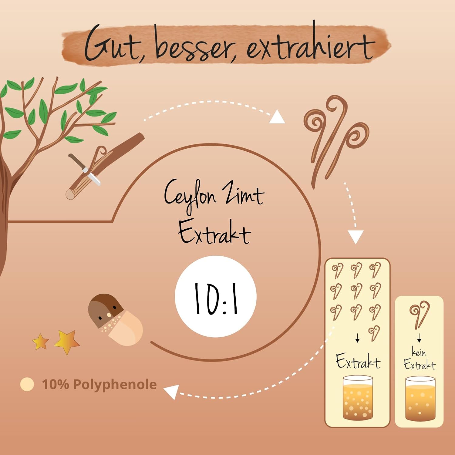 120 ceylon zimt kapseln – 2500 mg Extrakt – Laborgeprüft & Vegan