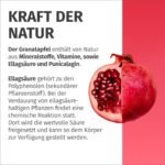 120 Granatapfel Kapseln hochdosiert 50:1 Extrakt vegan | Green Naturals