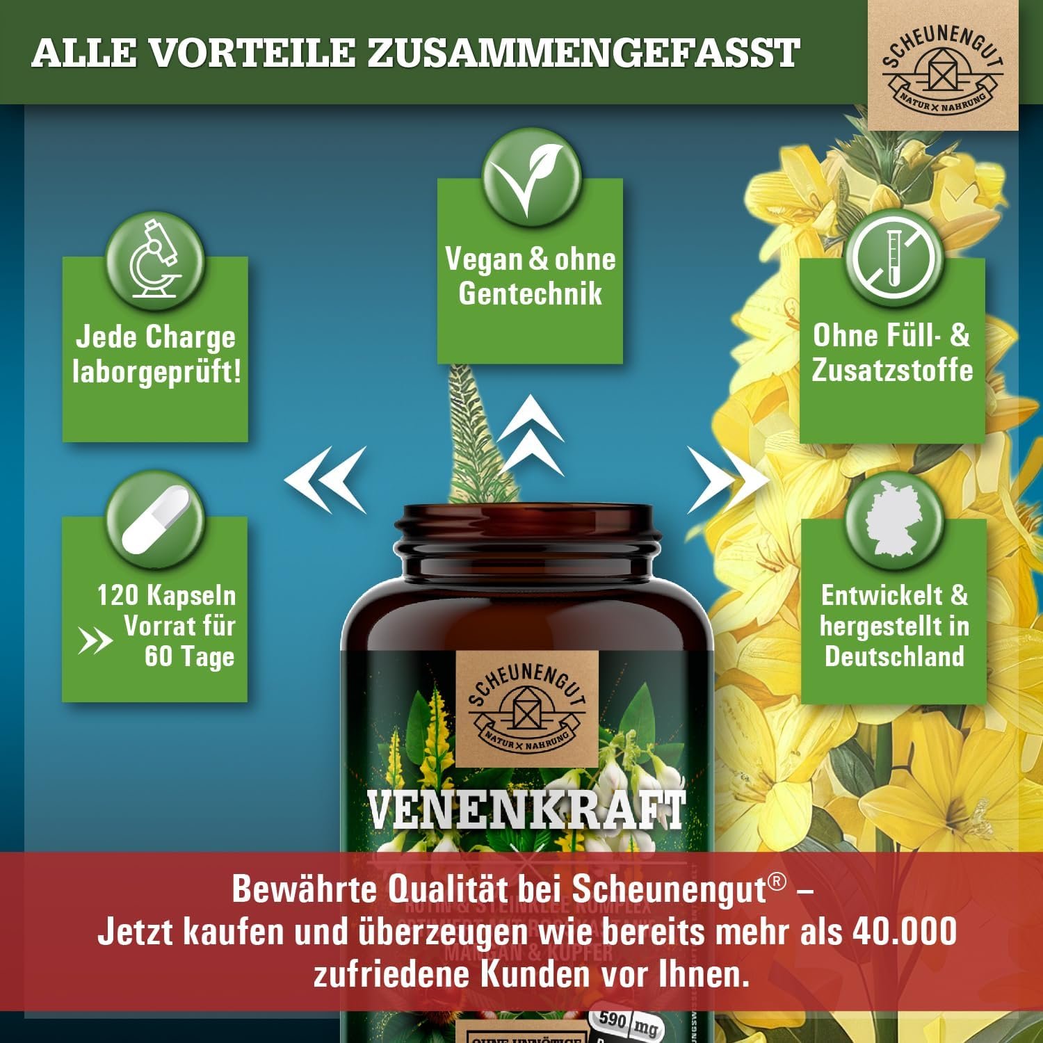 120 rutin steinklee kapseln hochdosiert – Laborgeprüfter Venen-Komplex – VENENKRAFT®