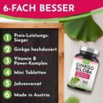 365 ginkgo biloba tabletten – 6000 mg pro Tablette – Mit B-Vitamin Komplex – Laborgeprüft