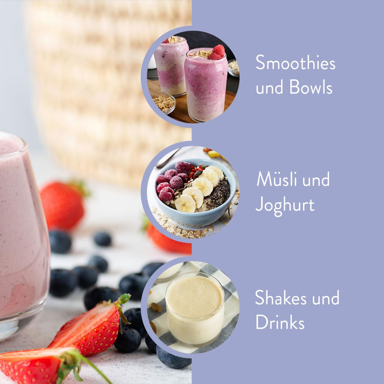 Version 1.0.0 500g Inulin pulver vegan ballaststoffreich | BORCHERS