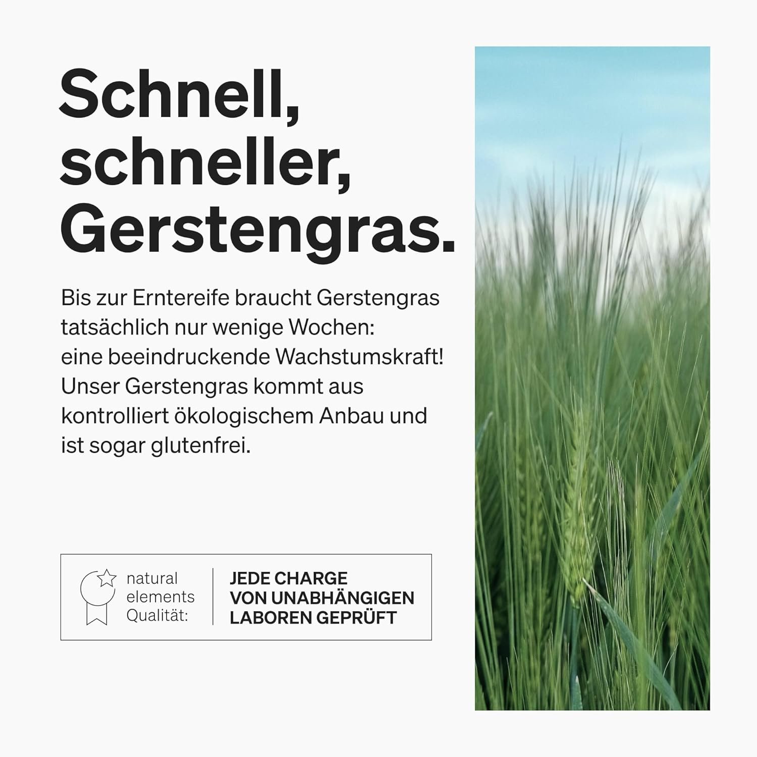 180 Kapseln Gerstengras Kapseln bio hochdosiert vegan aus deutschem Anbau | Natural Elements