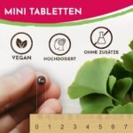 365 ginkgo biloba tabletten – 6000 mg pro Tablette – Mit B-Vitamin Komplex – Laborgeprüft