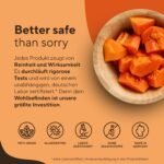 270 papaya enzym kapseln – 2100 mg Papain – Vegan & hochdosiert