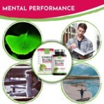 365 ginkgo biloba tabletten – 6000 mg pro Tablette – Mit B-Vitamin Komplex – Laborgeprüft