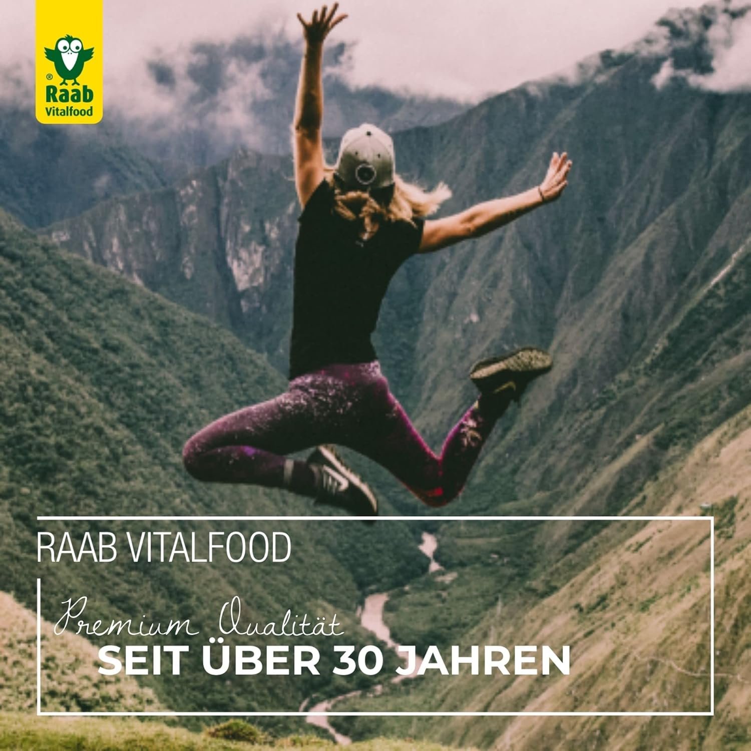 500g Kuerbiskernprotein pulver bio 60 % eiweiss vegan | Raab Vitalfood