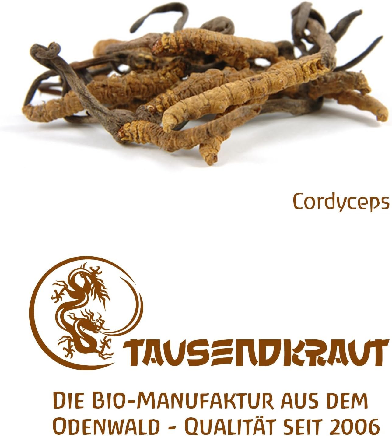 200g Cordyceps pulver bio vitalpilz premiumqualität | TAUSENDKRAUT